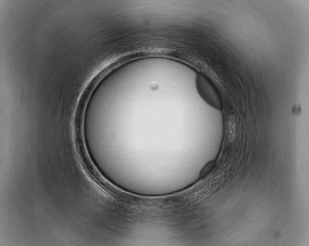 X0000101140726200806270735