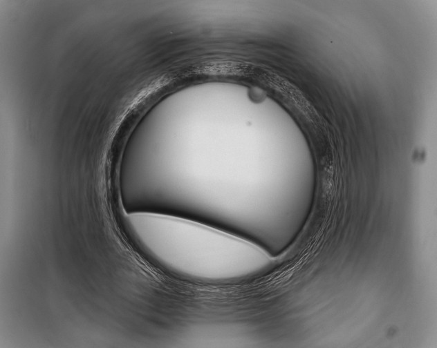 X0000101140727200806270735