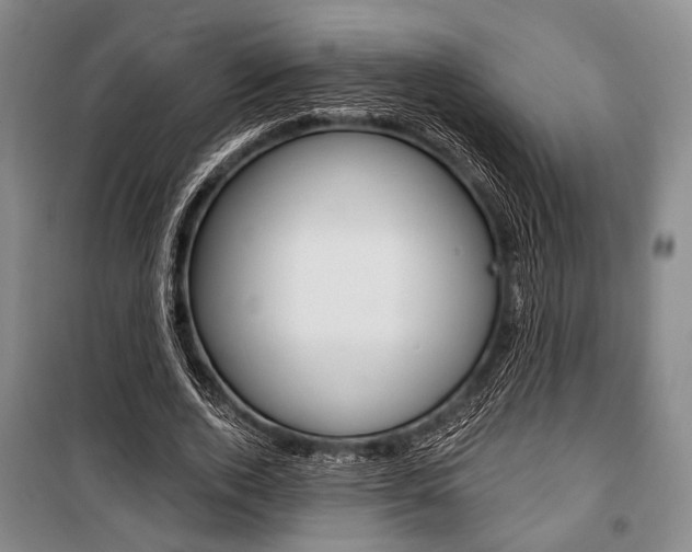 X0000101140728200806270735