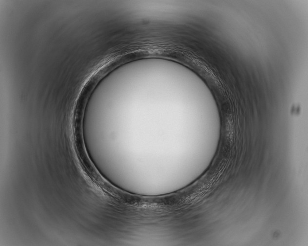 X0000101140730200806270735