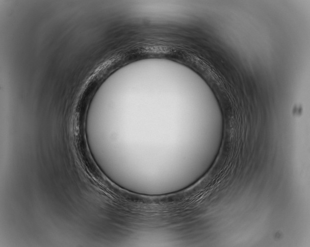 X0000101140731200806270735