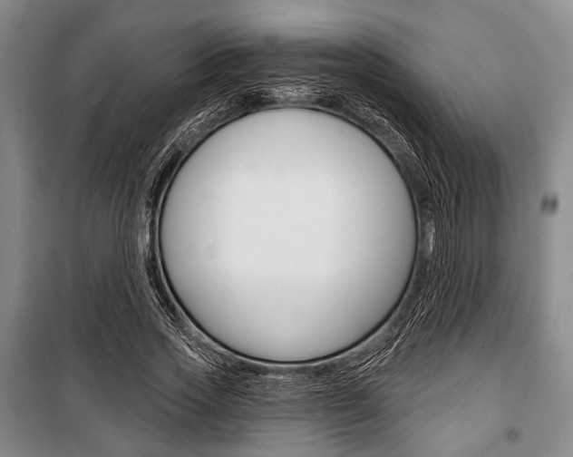 X0000101140733200806270735