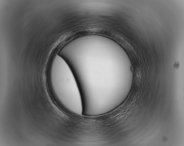 X0000101140734200806270735