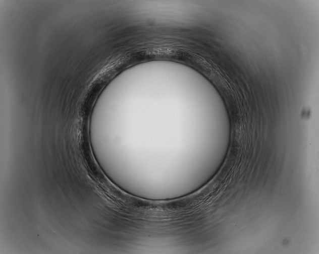 X0000101140735200806270735