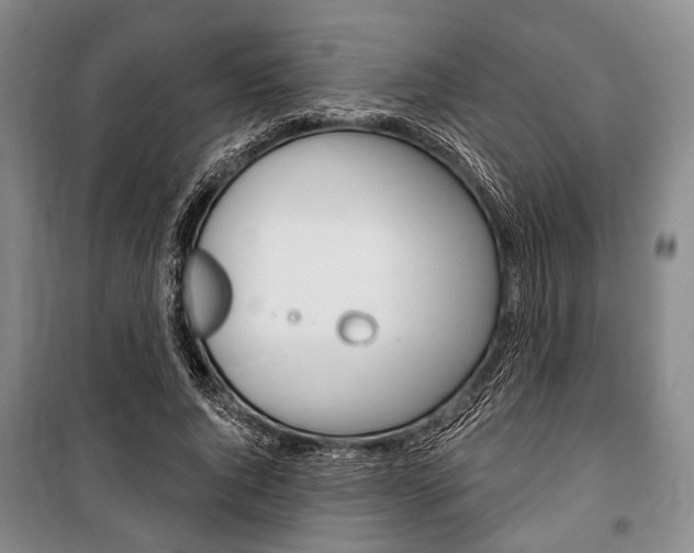 X0000101140736200806270735
