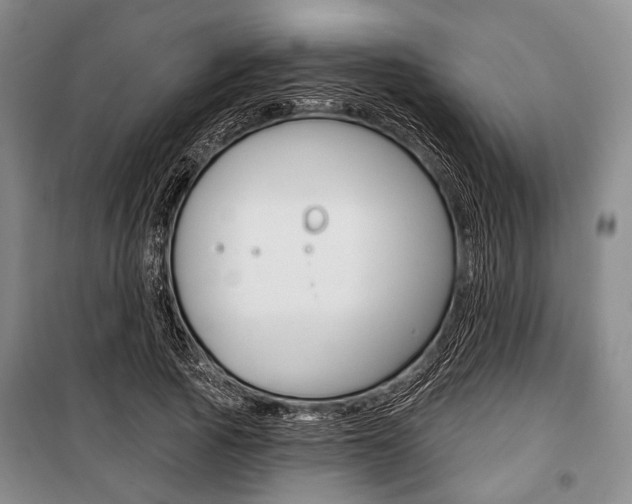 X0000101140737200806270735
