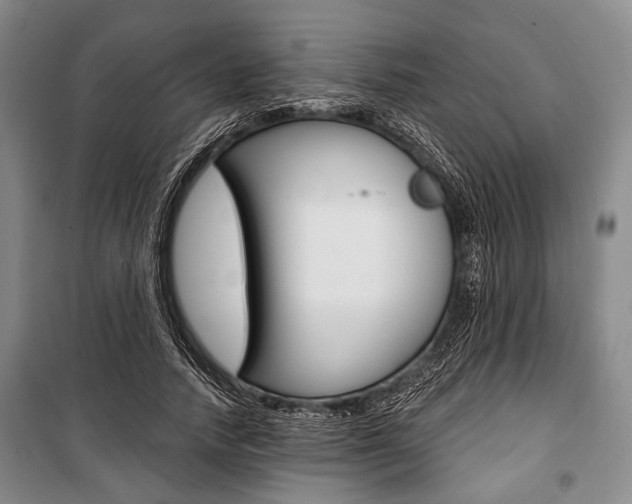 X0000101140738200806270735