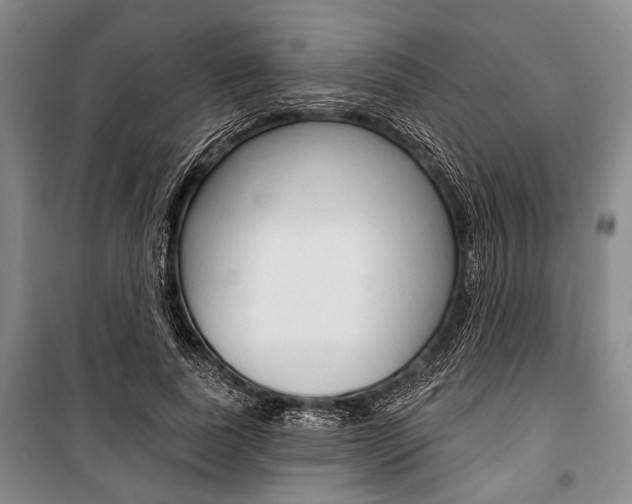 X0000101140739200806270735
