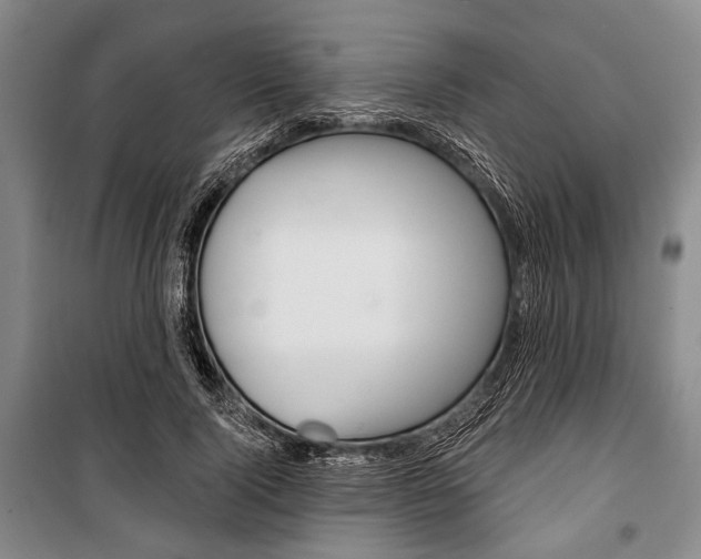 X0000101140740200806270735