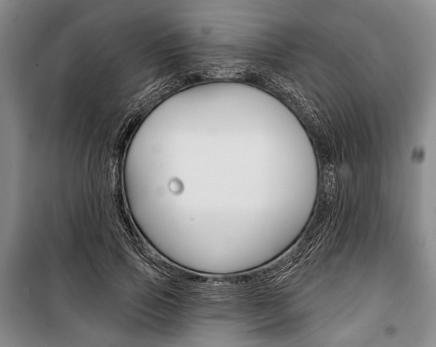 X0000101140741200806270735
