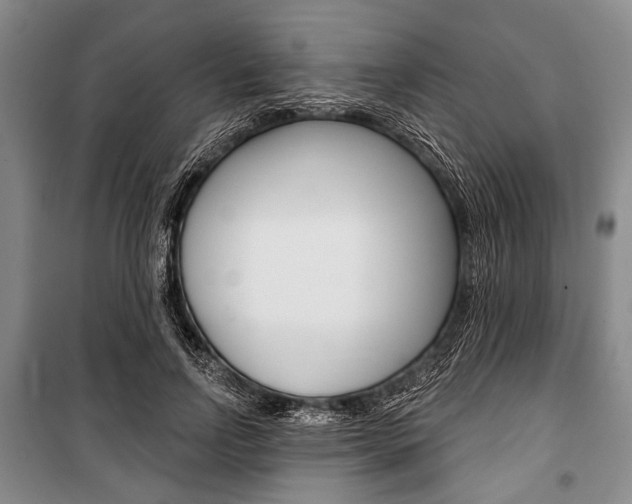 X0000101140742200806270735