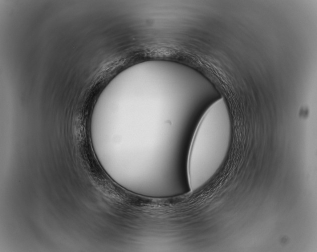 X0000101140743200806270735
