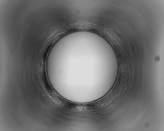 X0000101140744200806270736