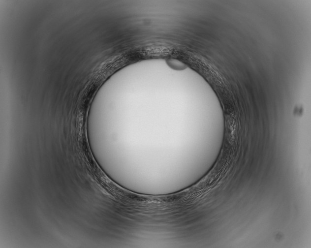 X0000101140745200806270736