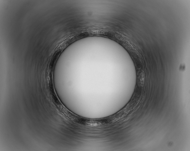 X0000101140746200806270736
