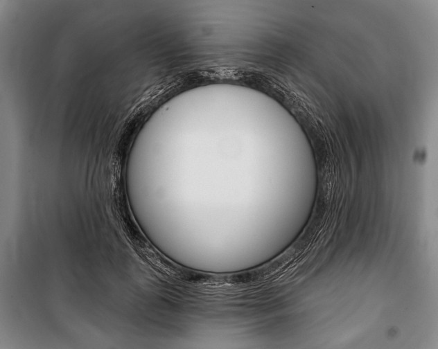 X0000101140747200806270736