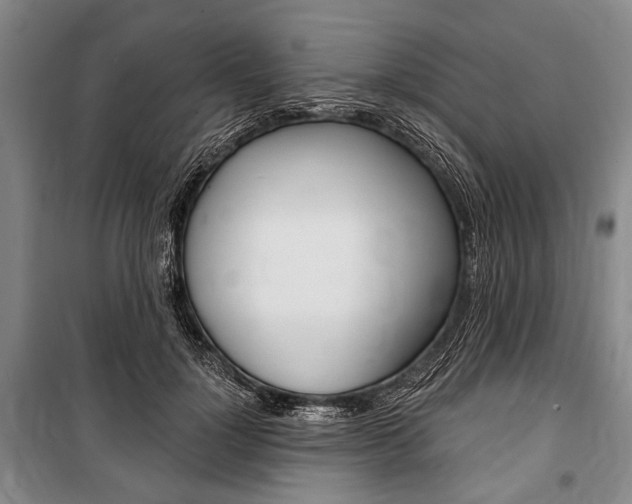 X0000101140748200806270736