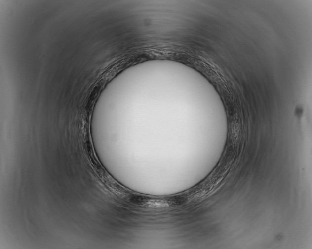 X0000101140749200806270736