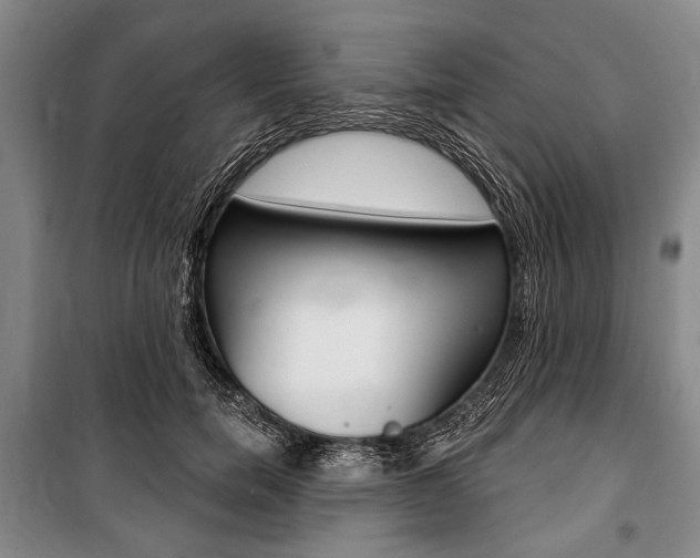 X0000101140750200806270736