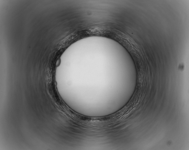 X0000101140751200806270736