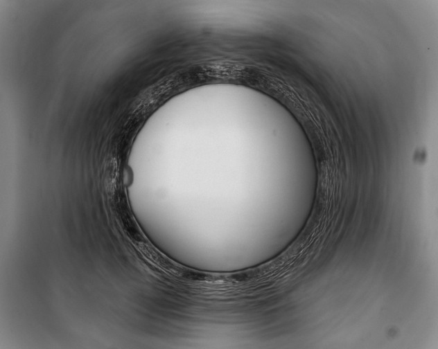 X0000101140752200806270736