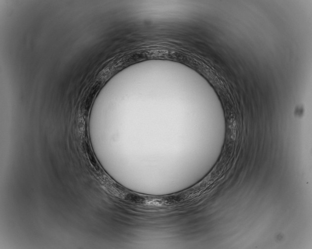 X0000101140753200806270736