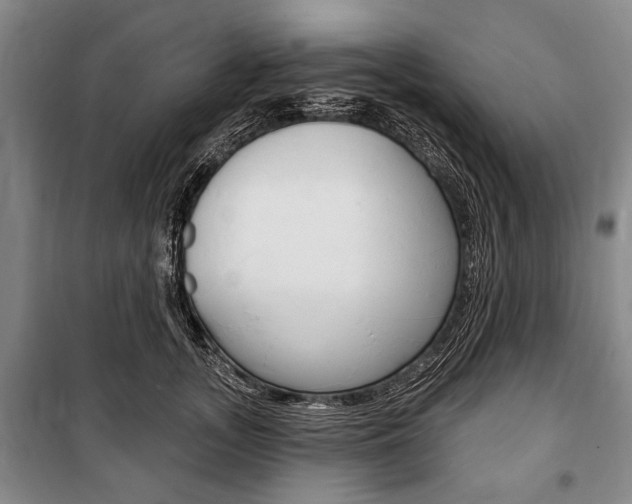 X0000101140755200806270736