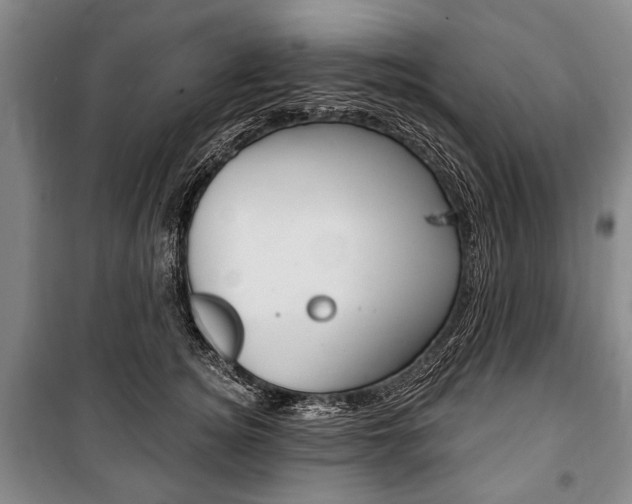 X0000101140756200806270736