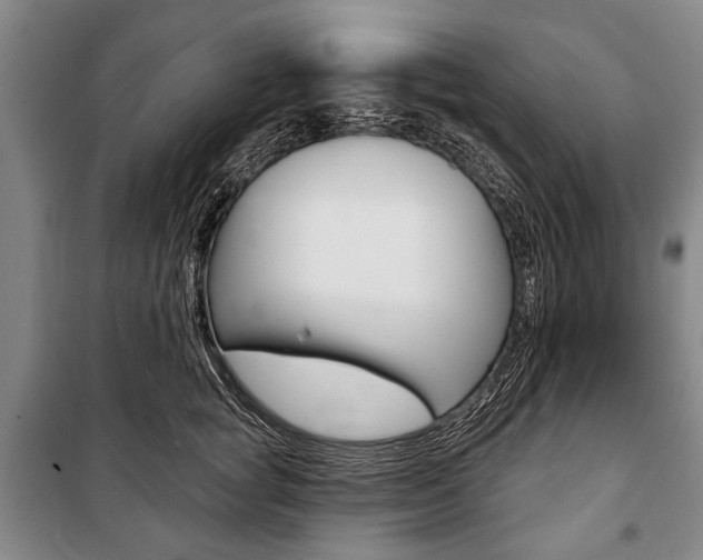 X0000101140757200806270736