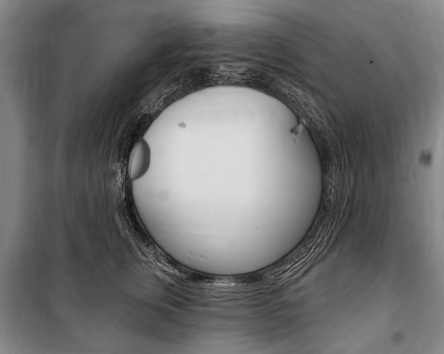 X0000101140759200806270736