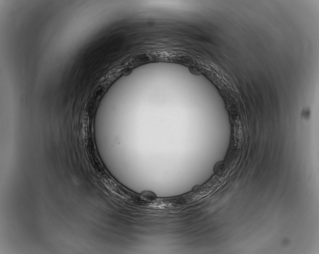 X0000101140760200806270736