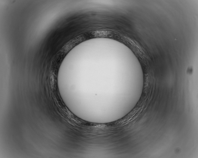 X0000101140761200806270736