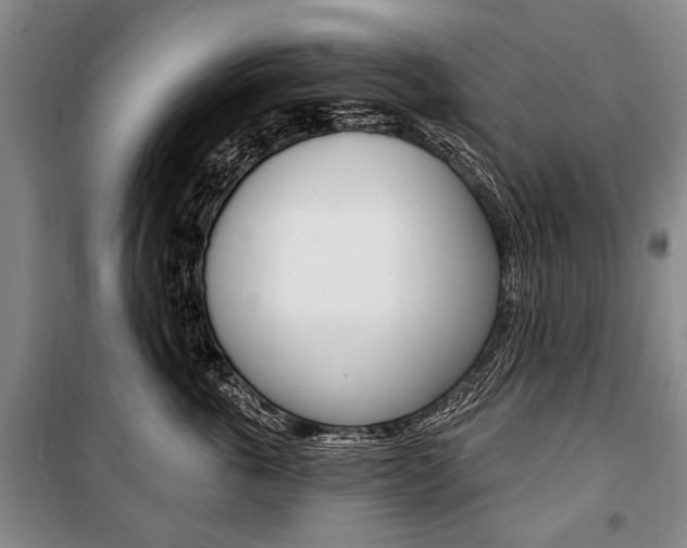 X0000101140763200806270736