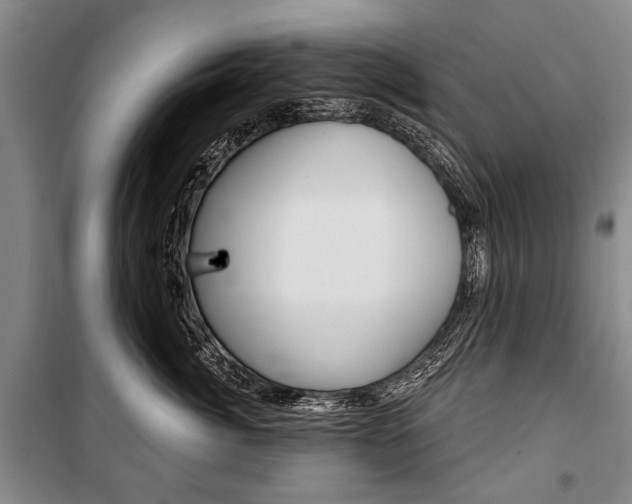 X0000101140764200806270736