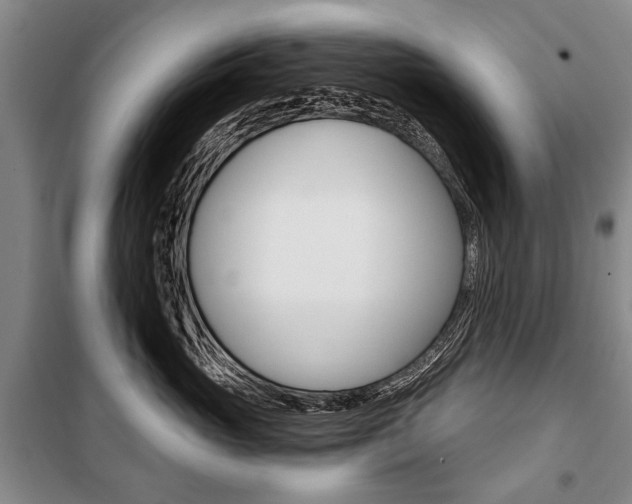 X0000101140765200806270736
