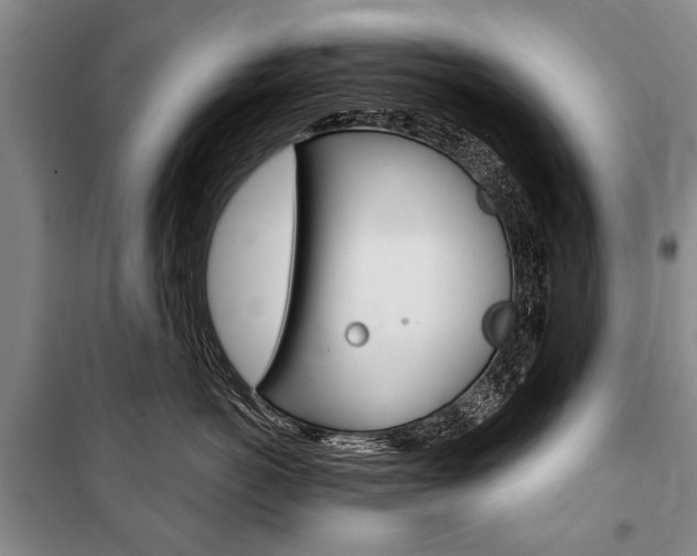 X0000101140766200806270736