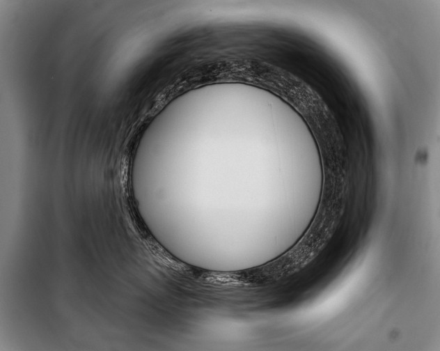 X0000101140767200806270736