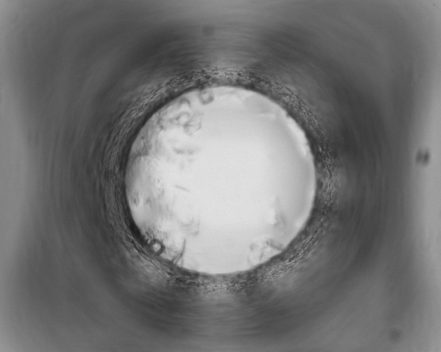 X0000101140769200806270735