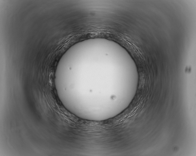 X0000101140770200806270735