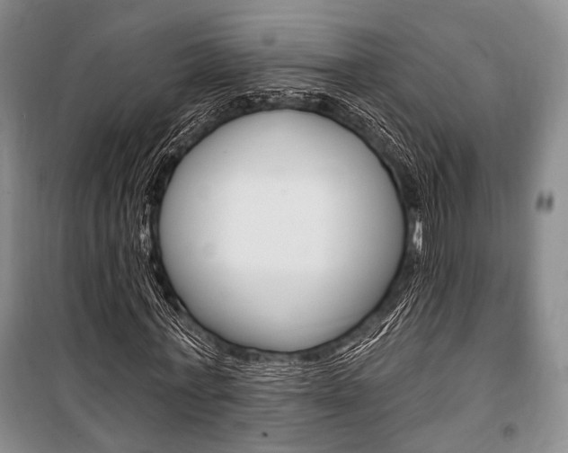 X0000101140771200806270735