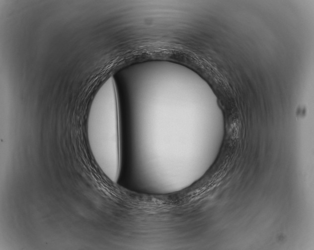 X0000101140772200806270735