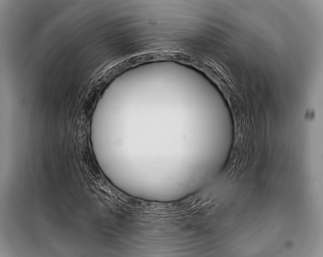 X0000101140773200806270735