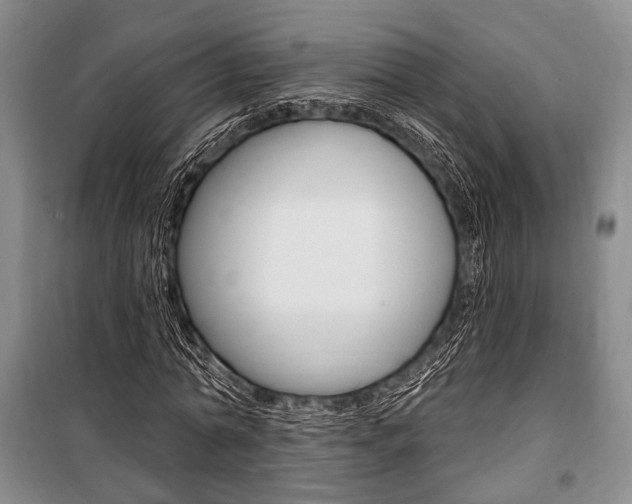 X0000101140774200806270735