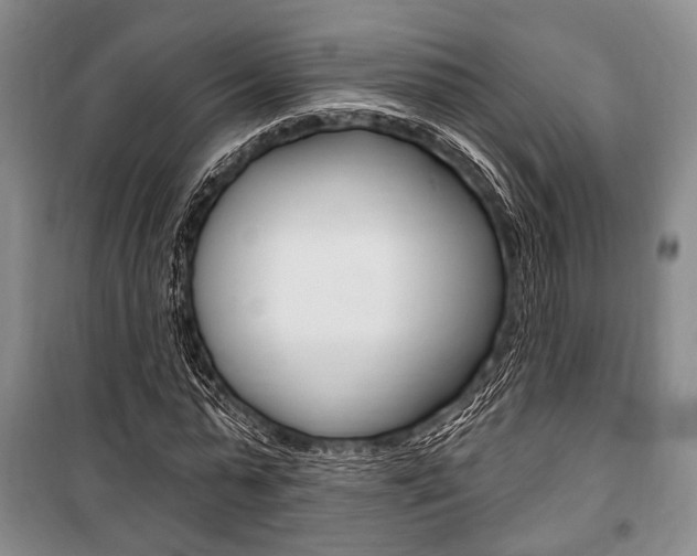 X0000101140775200806270735