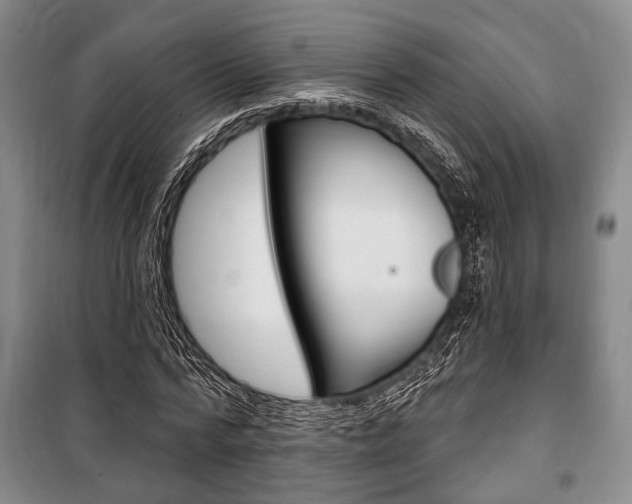 X0000101140776200806270735