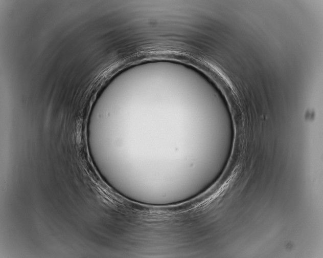 X0000101140777200806270735