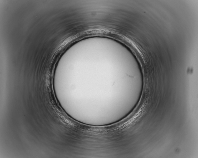 X0000101140778200806270735