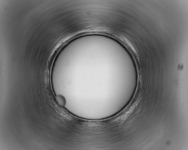 X0000101140781200806270735