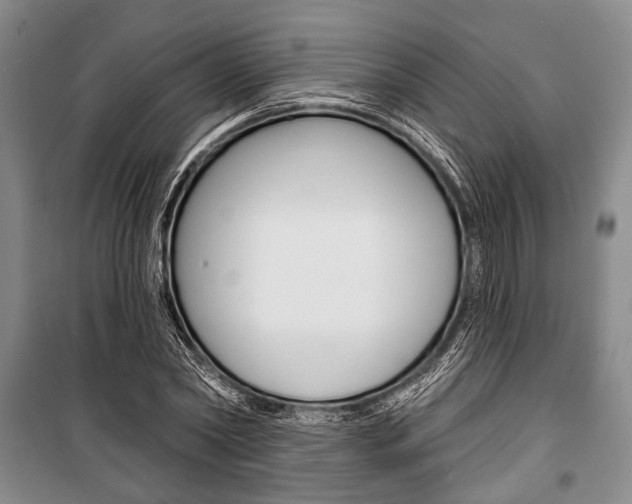 X0000101140782200806270735