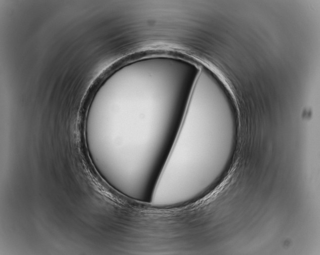 X0000101140783200806270735